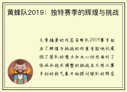 黄蜂队2019：独特赛季的辉煌与挑战